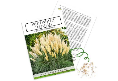 HappySeed Blumensamen Amerikanisches Pampasgras Samen - Cortaderia selloana, Blumen