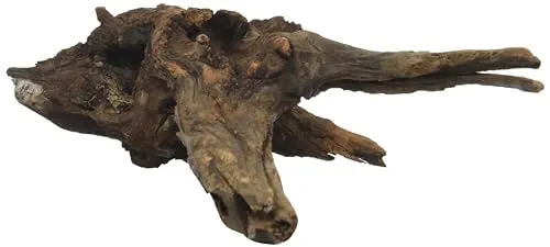 Croci Amtra A8047549 Mystic Wood, 30 - 40 cm