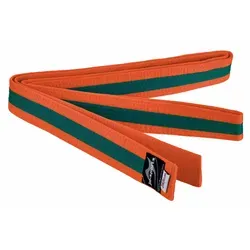 Ju-Sports Stoffgürtel Budo grün|orange 200 cm von Ju-Sports