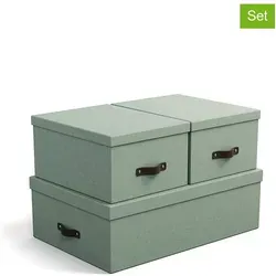 BigsoBox 3er-Set