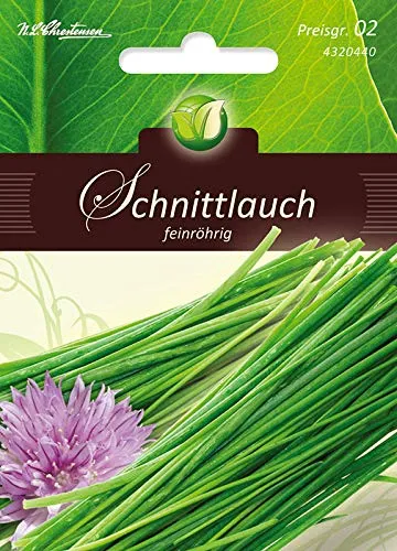Schnittlauch, feinröhrig,mehrjährig
