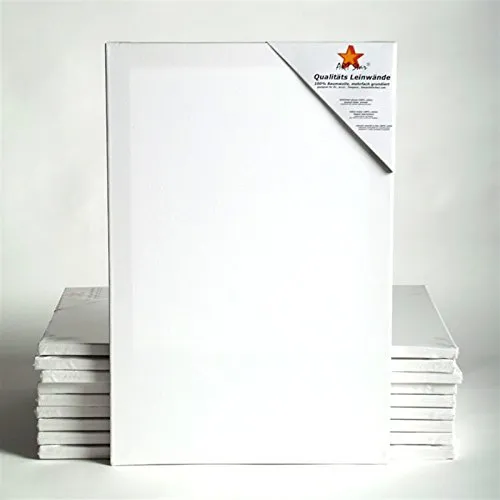 Art-Star University Keilrahmen 40x80 cm - Hochwertige bespannte Leinwände auf stabilen Fichtenholz-Keilrahmen, ideal für Künstler und kreative Projekte. Malfertig vorgrundiert für sofortigen Einsatz mit Acryl- und Ölfarben.