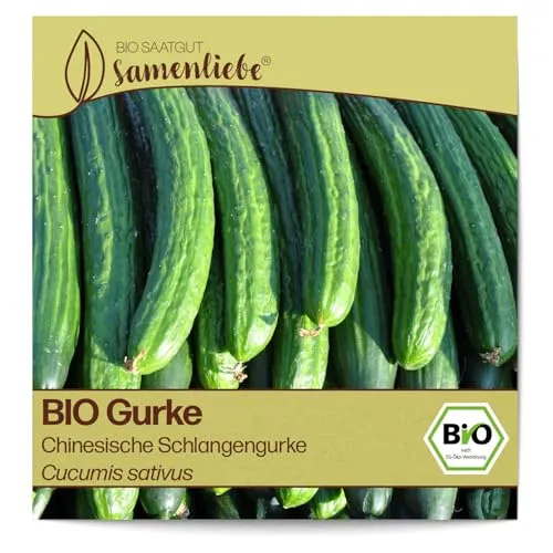 Samenliebe BIO Gurken Samen alte Sorte Chinesische Schlangengurke Freilandgurke lange Salatgurke grün 10 Samen samenfestes Gemüse Saatgut für Gewächshaus Freiland und Balkon BIO Gemüsesamen
