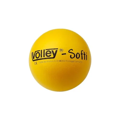 Volleybälle von Volley