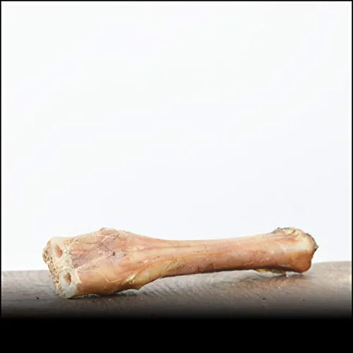 George & Bobs Lammknochen - 20Stk. Lammknochen - der Leckerbissen für Welpen, Senioren und viele Allergiker Einzeln Verpackt