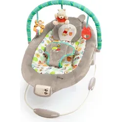 Bright Starts Disney Baby Winnie Puuh Wippe mit Vibration