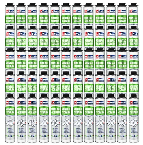 Montageschaum 60 x 750 Pistolenschaum fur Schaumpistolem Bauschaum Profi Schaum