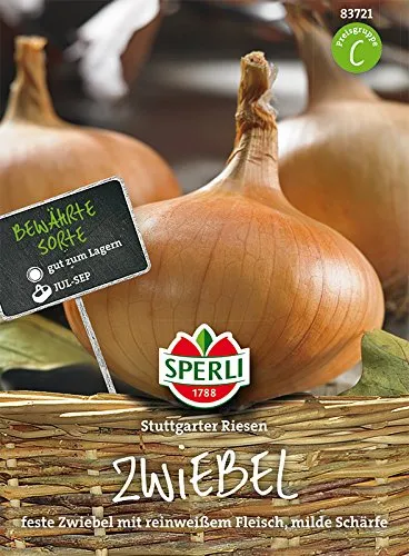 Zwiebeln, Stuttgarter Riesen