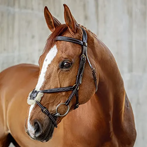 SUNRIDE mexikanische Trense für Pferde (Acapulco) in braun von SUNRIDE