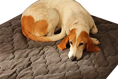 ggm antiallergische Hundedecke in 100x120 cm – Schnell trocknende, unempfindliche & Flauschige Kuscheldecke, Maschinenwaschbare Liegedecke für Hunde, Flöhe- und Milbenresistent – anthrazit