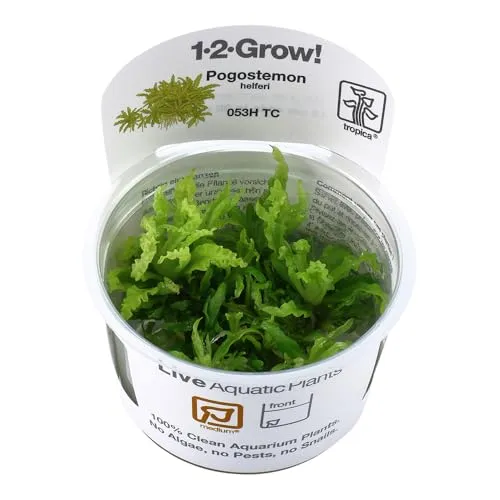 Produktbild Tropica
