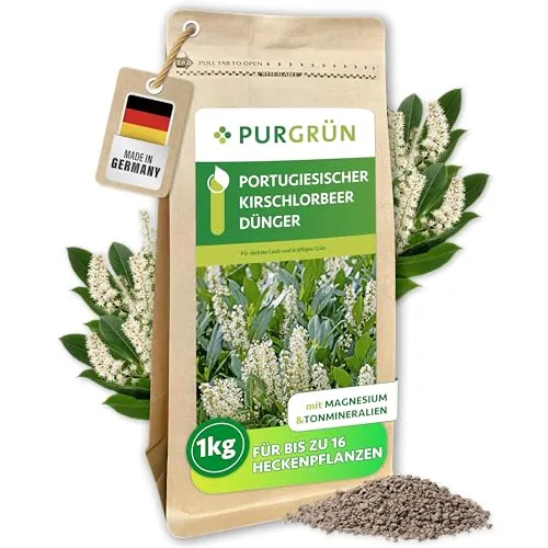 Purgrün Kirschlorbeer Dünger, NPK 5+4+6 - Pflanzendünger für gesunde Pflanzen mit extra Kalium für kräftiges, grünes Laub und verbesserte Widerstandskraft gegen Stressfaktoren.