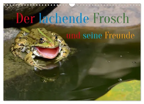 Rufotos Rufotos | Der lachende Frosch und seine Freunde 2026 - Kalender mit 14 Seiten, ideal für Kinder und Naturfreunde. Erleben Sie humorvolle Motive, die zum Lachen einladen und die Kreativität fördern.