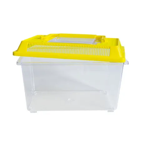 TimeTEX Experimentierkasten Insekten-Beobachtungsbox, aus Kunststoff, (2-tlg)