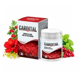 Cardital Kapseln – 20 Kapseln für aktive Menschen