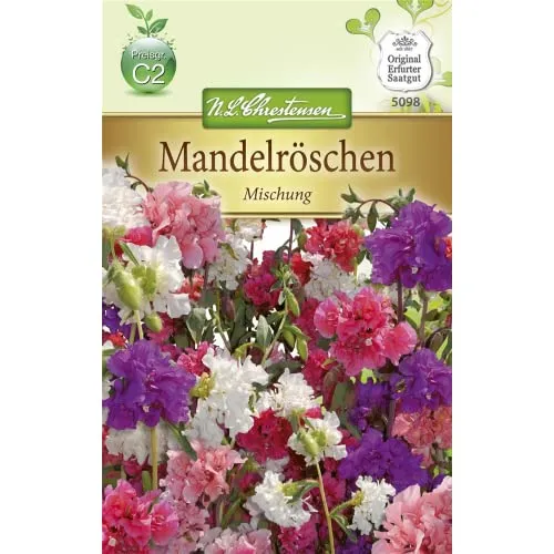 Chrestensen Mandelröschen 'Mischung'