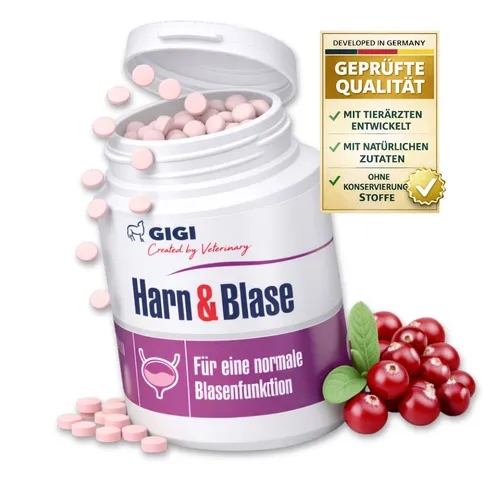 Harn & Blase unterstützt gezielt die Gesundheit des Harntrakts GIGI VET