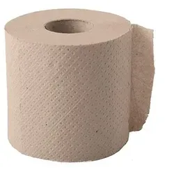 Rollen Toilettenpapier Tissue Ø 9,6 cm · 10 cm x 9,5 cm hellbraun `soft` 2-lagig, 300 Blatt, Recycling 48