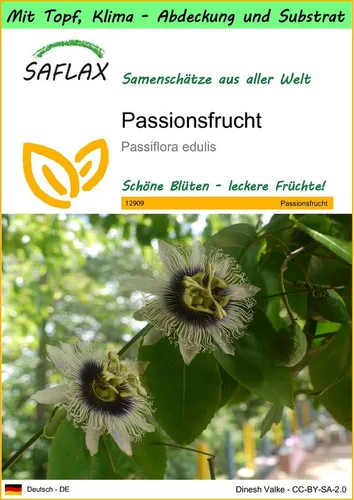 SAFLAX Blumensamen SAFLAX - Garden to go - Passionsfrucht