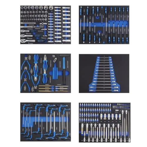 TRUTZHOLM Profi Werkzeugeinlagen 520x400mm Werkzeugset 250 tlg. Blau | Steckschlüsselsatz Stecknuss Schraubendreher Ring-Gabel-Ratschenschlüssel Innensechskant Hammer Zangen Durchschläger