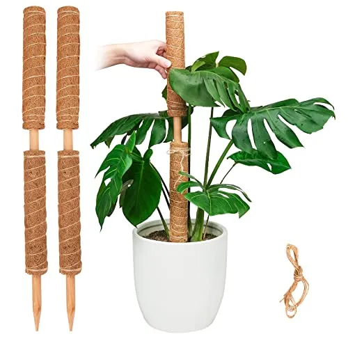 Pisol Moosstange für Pflanzen Monstera, ausziehbare Pflanzenstäbe, Pflanzstäbe für Topfpflanzen, 39,5 cm Kokosfaser, Pflanzengitter für Sphagnum, Pothos und andere Kletterpflanzen (4 Stück)