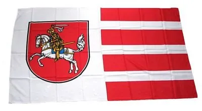 FahnenMax Fahne/Stockflagge Dithmarschen 30 x 45 cm Flagge