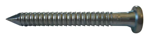 Bär Nägel von Bär