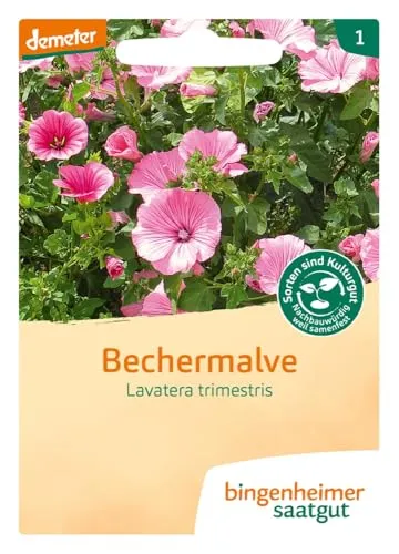 BINGENHEIMER Saatgut, Bechermalve, Blumen