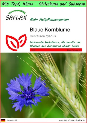 SAFLAX Blumensamen SAFLAX - Garden to go - Blaue Kornblume