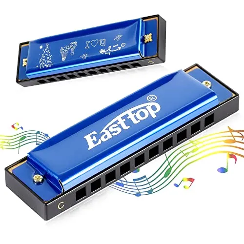 East top Blues Mundharmonika, diatonische Mundharmonika, C, 10 Löcher, 20 Töne, Mundharmonika für Erwachsene, Kinder, Anfänger, Profis und Studenten (lila)