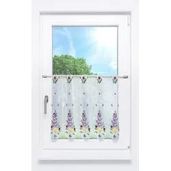 Scheibengardine Plauener Spitze in lila von Plauener Spitze