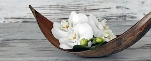 artissimo, Glasbild XXL, 125x50 cm Querformat, AG5407A, Blumen und Natur: Schale mit Orchideen, Bild aus Glas, Wanddeko hell, Wandbild Wohnzimmer modern, weiß-grau, boho-style