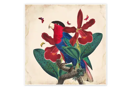 Poster & Bildende Kunst Rot von Posterlounge