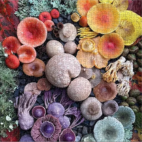 Chronicle Books Puzzle Pilze in voller Blüte, Puzzleteile