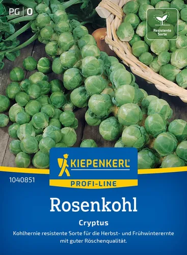 Rosenkohl Cryptus Herbst-und Frühwinterernte Kohlhernie resistent Samen 1040851