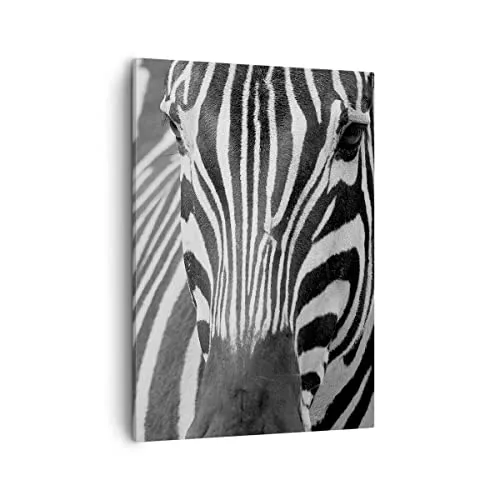 Bilder auf Leinwand Tiere Zebra gestreift Leinwandbild mit Rahmen 50x70cm Wandbilder Dekoration Wohnzimmer Schlafzimmer Küche Deko Groß Wanddeko Bild Wand Kunstdruck Art Wall Decor Canvas PA50x70-2254