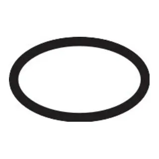 hansgrohe O-Ring 21x2mm von Hansgrohe