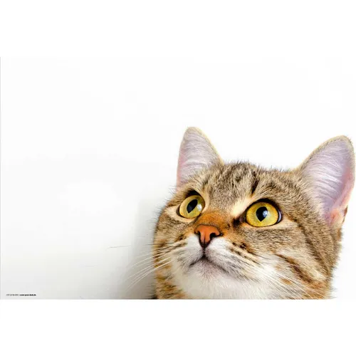 CoverYourDesk Schreibtischunterlage Katzenblick (21557392) - Stilvolle Schreibtischunterlage mit Katzenmotiv, ideal für kreative Arbeitsplätze. Schützt die Oberfläche und sorgt für eine angenehme Arbeitsatmosphäre.