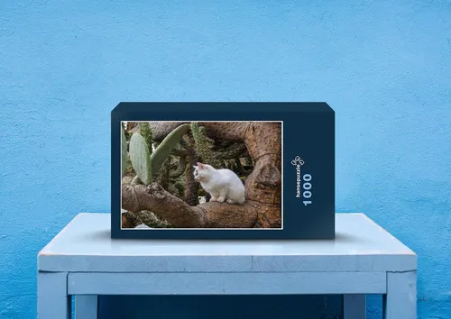hansepuzzle 29346 - Katze im Kaktus Puzzle, 1000 Teile, Tierwelt, 60,0 x 46,0cm mit hochwertiger Aufbewahrung, Kartonbox & Beutel