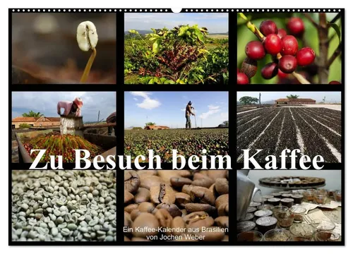 Jochen Weber | Zu Besuch beim Kaffee (Wandkalender 2026 DIN A2 quer),...