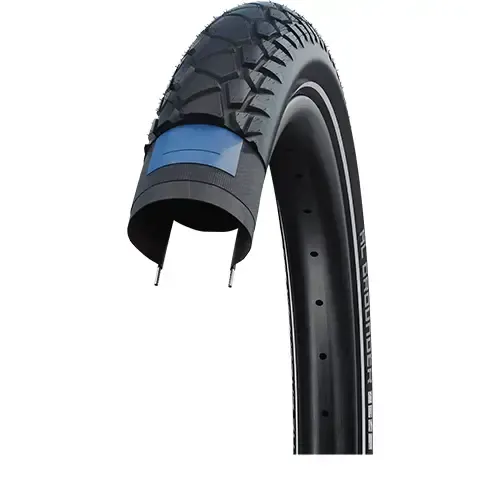 Schwalbe Al Grounder Performance ADDIX RaceGuard 29