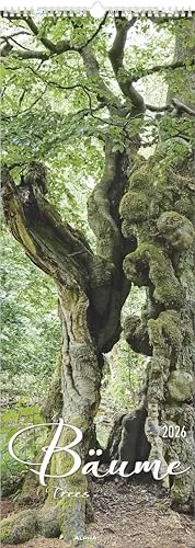 Alpha Edition von ALPHA EDITION