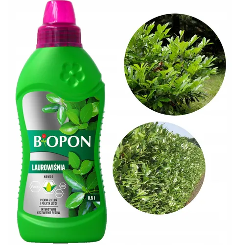 Kirschlorbeerdünger Dünger Für Kirschlorbeer Heckendünger Flüssigdünger 500ml