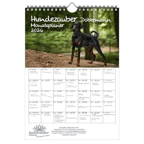 Hundezauber Dobermann Planer DIN A4 Kalender für 2026 Welpen und Hunde - Seelenzauber