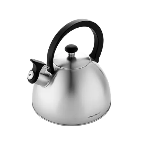 FLORINA Wasserkessel (2,5 l) I Edelstahl Teekessel BRILLO I Flötenkessel mit Bakelitgriff I Kratzfester I Wasserkocher für Induktionsherd, Gasherd und Elektroherd I Farbe: Silber