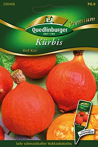 Kürbis Red Kuri von Quedlinburger Saatgut