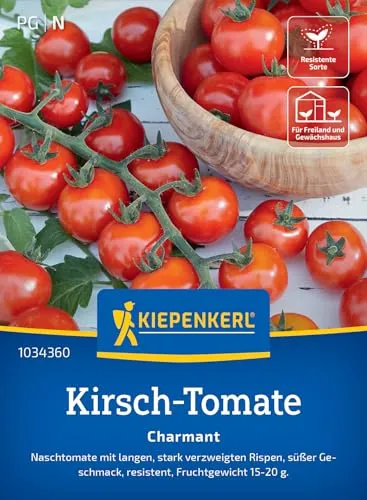 Kiepenkerl Kirsch-Tomatensamen Charmant 1034360 - tolerante Sorte - fruchtig- süß - lange und stark verzweigte Rispen - Samen Gemüse, Gemüsepflanzen, Saatgut