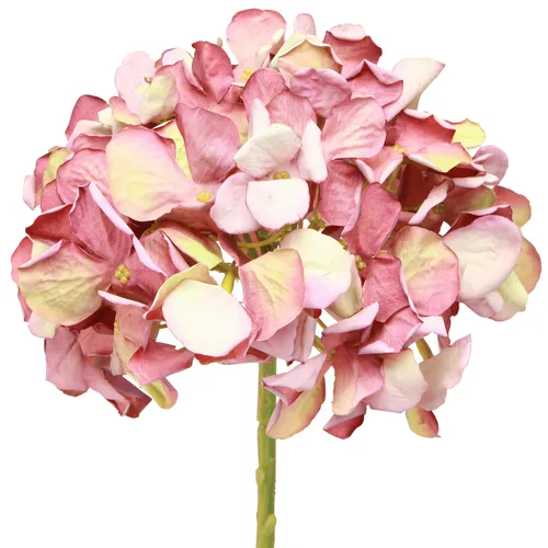 Künstliche Hortensie Dekoblume Rosa Mauve 2er-Set - Premium Qualität mit Ø15cm und L58cm, perfekt für langlebige und pflegeleichte Dekoration in jedem Raum.