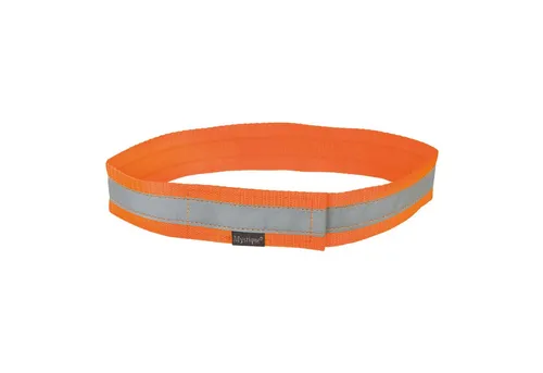 Mystique Leuchthalsband Mystique® Signalhalsband - Weit sichtbare Halsung, Nylon, verschiedene Größen