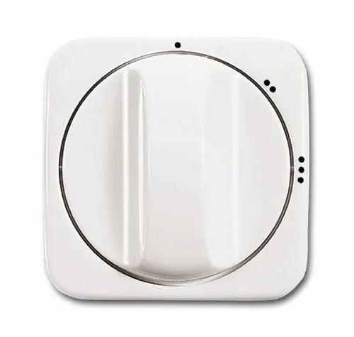 Busch-Jaeger 2542 DR/02-214 Zentralscheibe mit Drehgriff, mit Aufdruck Symbol 